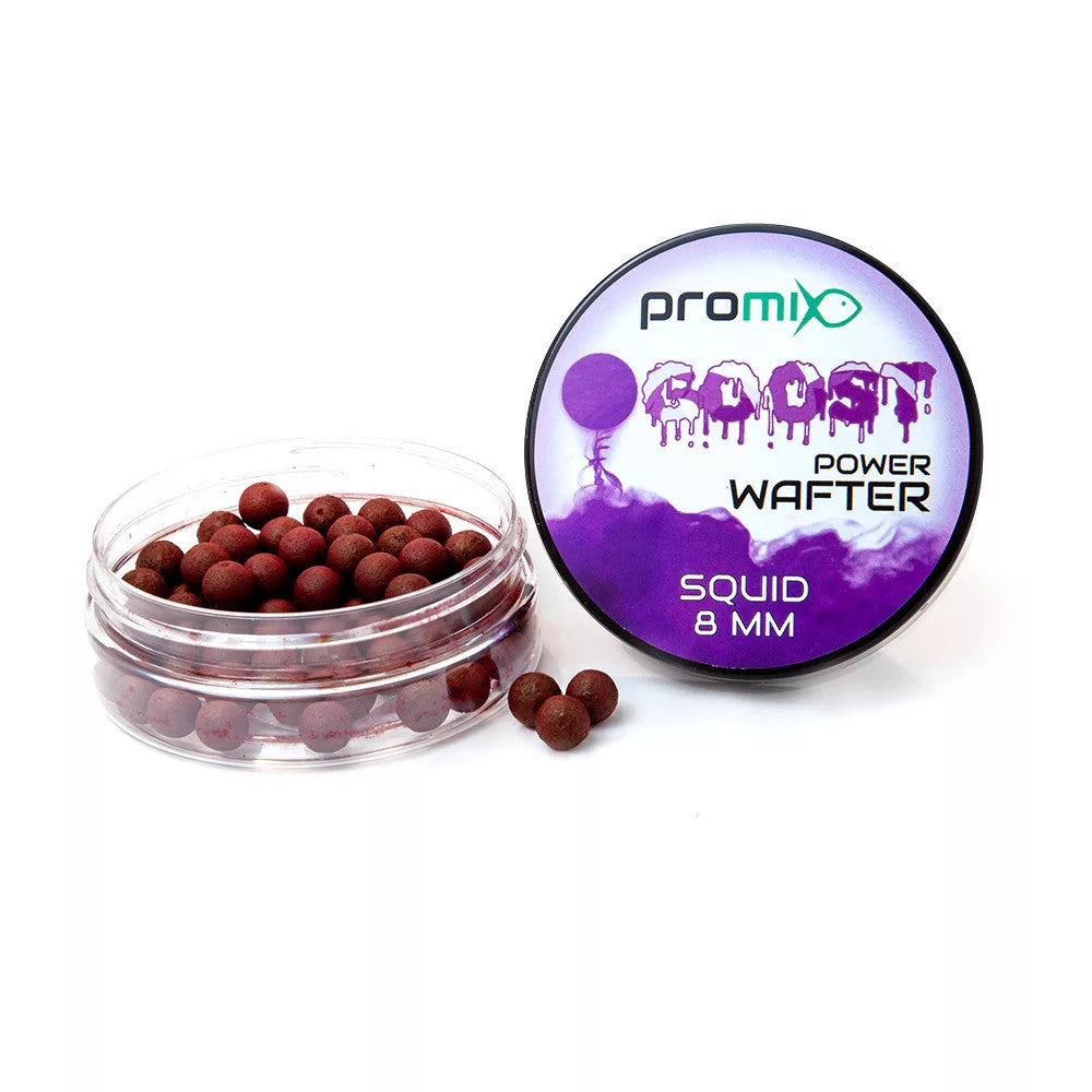 Promix Ghost Power Wafter Squid 8 mm